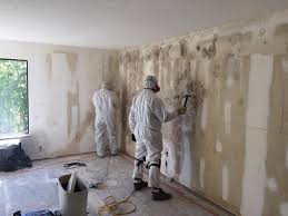 Mold Odor Removal Services in Tuba City, AZ